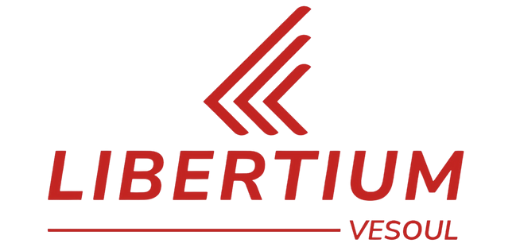 logo_LDVH70-4