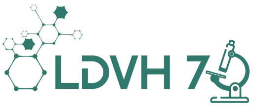 logo_LDVH70